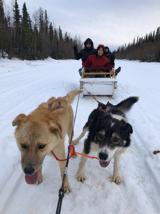 5-Day 4-Night Alaska Aurora Hunting Tour | Roundtrip from Fairbanks