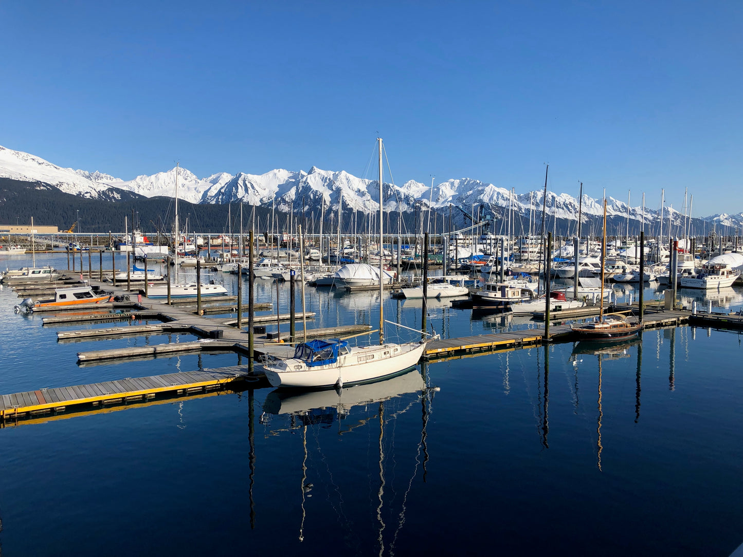 Four to nine days tour | All-inclusive Alaska summer classic exploration tour 