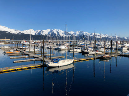 Four to nine days tour | All-inclusive Alaska summer classic exploration tour 